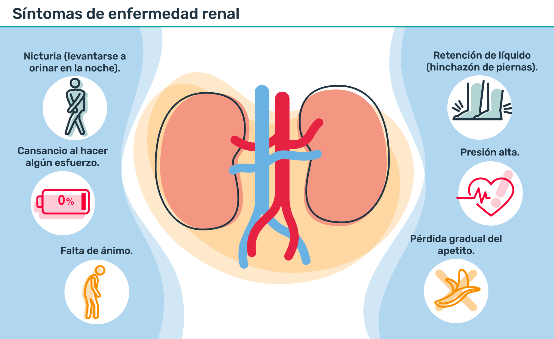 Síntomas de enfermedad renal: Retención de líquido (hinchazón de piernas), Presión alta, Pérdida gradual del apetito, Falta de ánimo, Cansancio al hacer algún esfuerzo, Nicturia (levantarse a orinar en la noche)