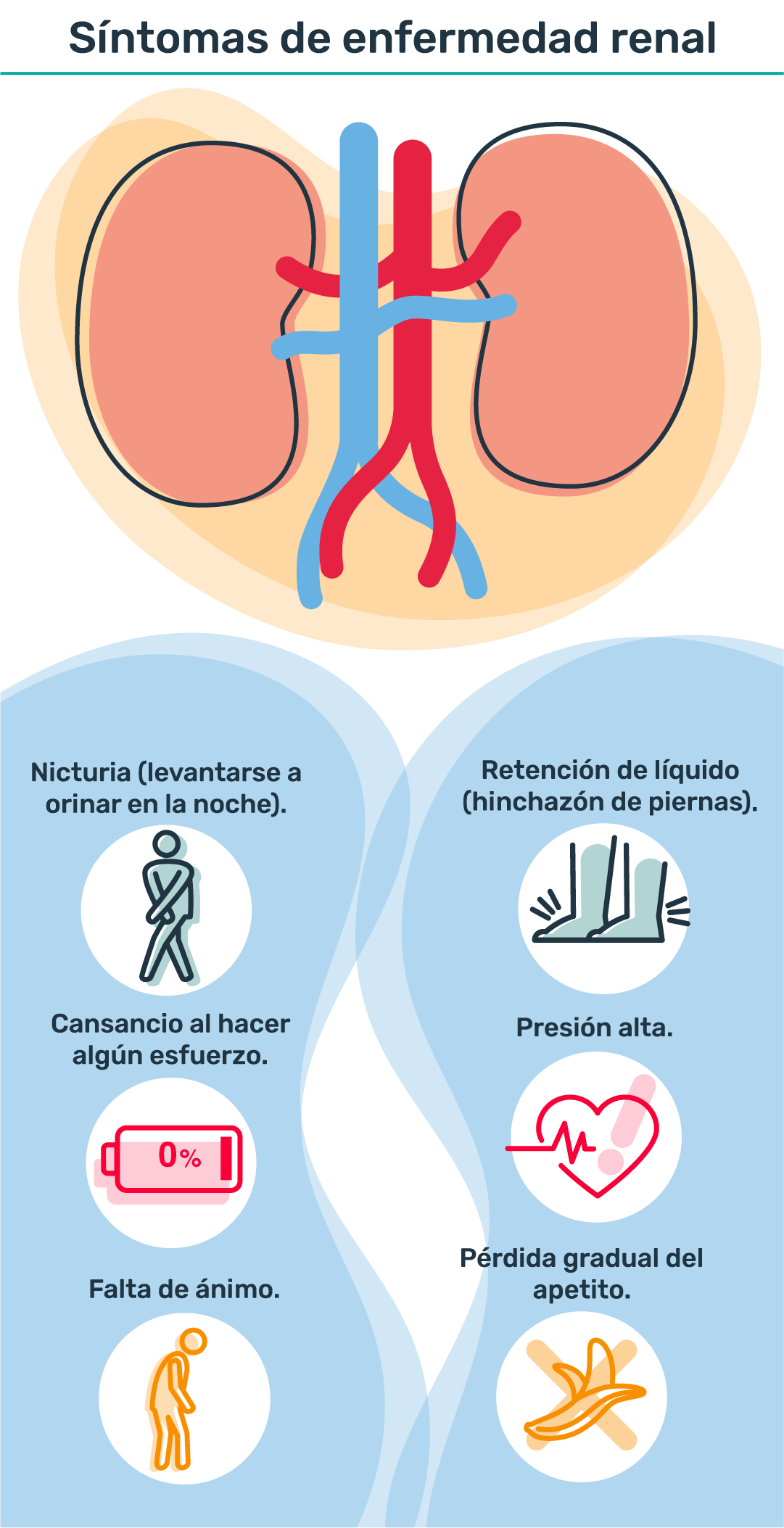 Síntomas de enfermedad renal: Retención de líquido (hinchazón de piernas), Presión alta, Pérdida gradual del apetito, Falta de ánimo, Cansancio al hacer algún esfuerzo, Nicturia (levantarse a orinar en la noche)