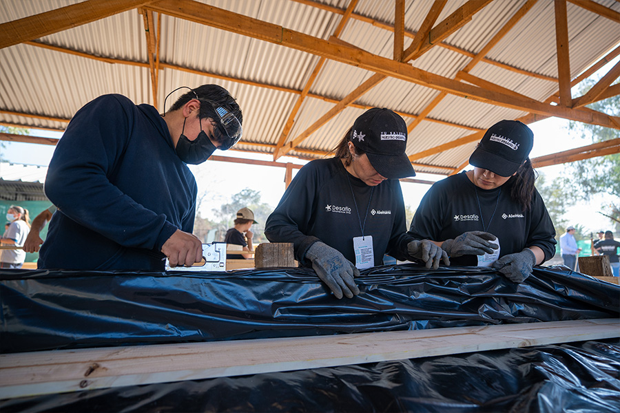 Volunatrios Clinica Alemana trbajando en la huerta