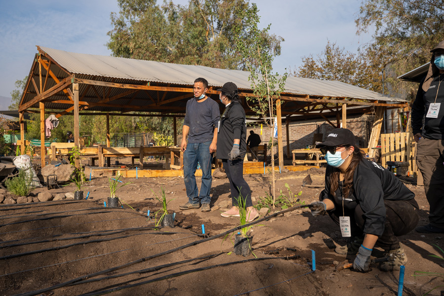 Volunatrios Clinica Alemana trbajando en la huerta