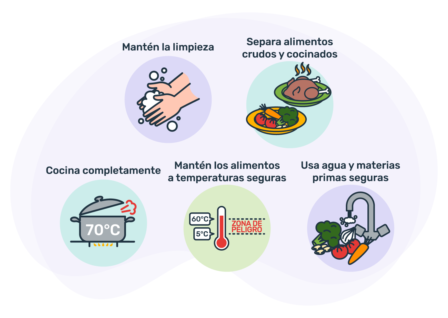Infografía de las 5 claves para la inocuidad de los alimentos. Manipula tus alimentos de manera segura: 1.	Mantén la limpieza; 2.	Separa alimentos crudos y cocinados; 3.	Cocina completamente; 4.	Mantén los alimentos a temperaturas seguras; 5.	Usa agua y materias primas seguras