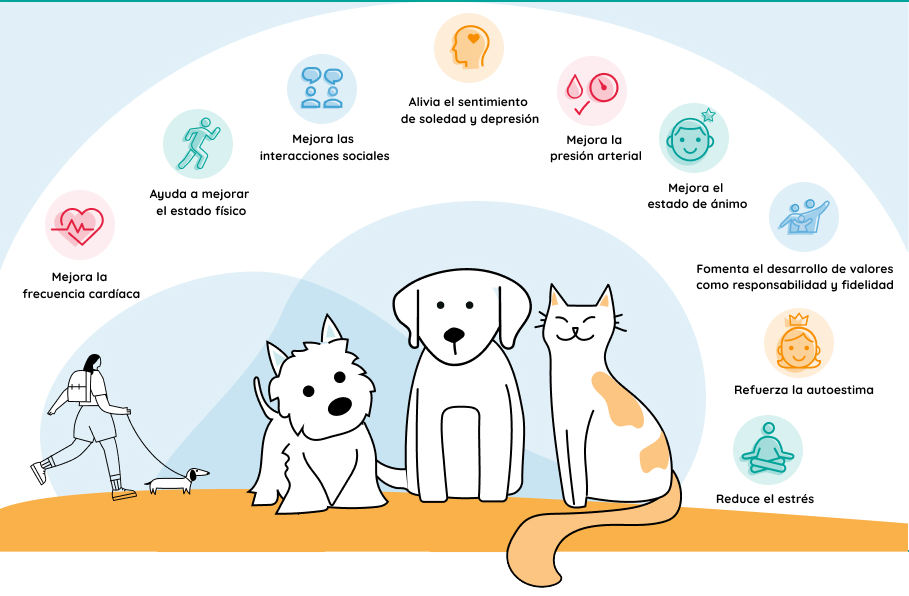 Beneficios de convivir con animales: Mejora la frecuencia cardíaca, Mejora la presión arterial,	Reduce el estrés, Ayuda a mejorar el estado físico,	Mejora las interacciones sociales, Refuerza la autoestima, Alivia el sentimiento de soledad y depresión, Fomenta el desarrollo de valores como responsabilidad y fidelidad
