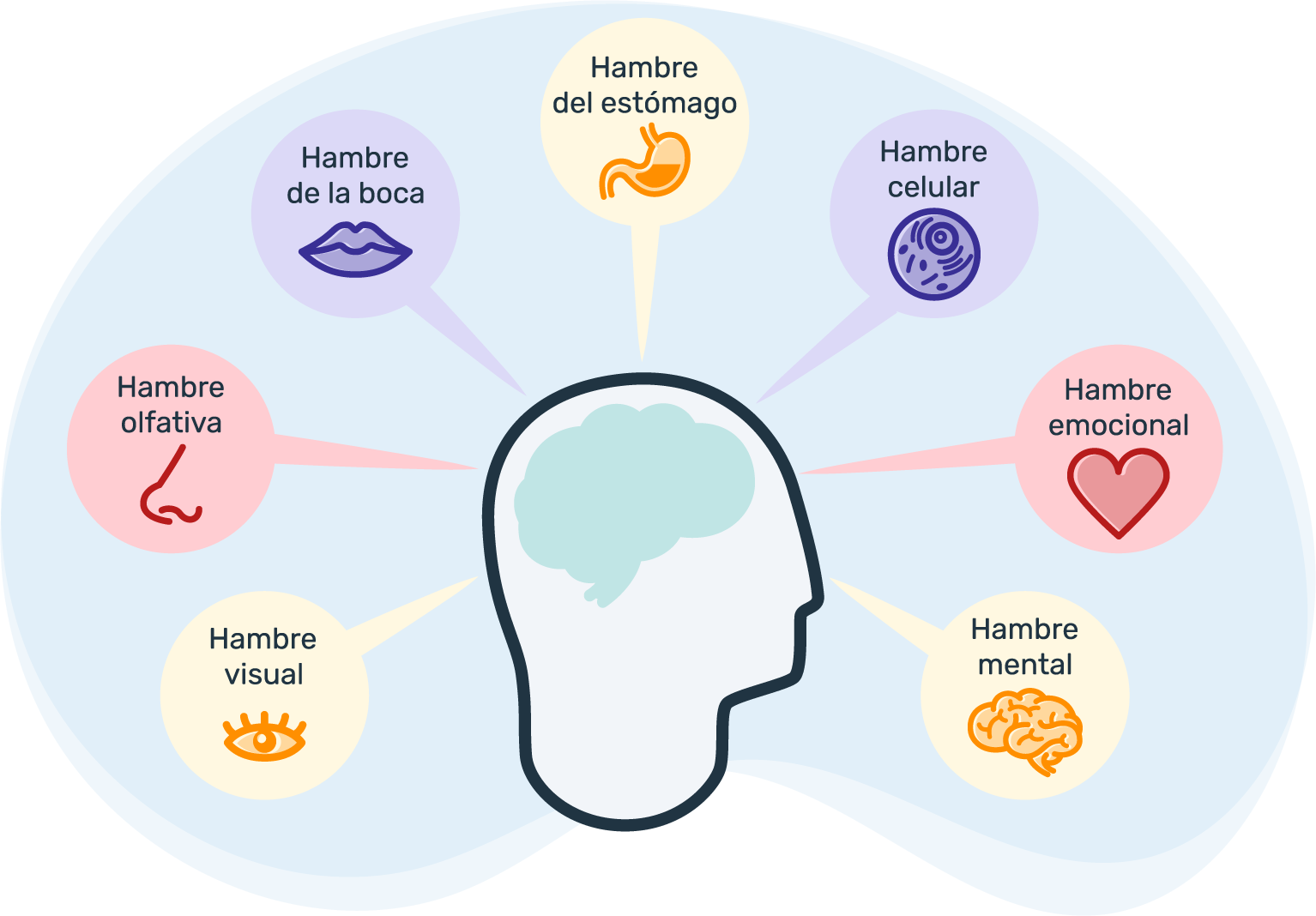 Mindful eating y tipos de hambre: hambre visual, hambre olfativa, hambre de la boca, hambre del estómago, hambre celular, hambre emocional y hambre mental.
