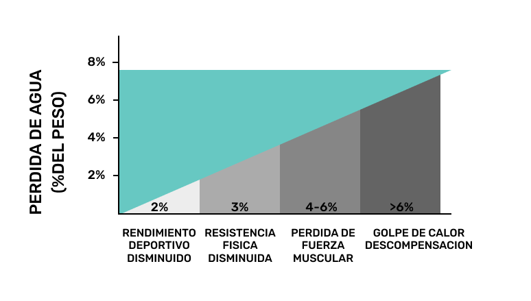 Grafico perdida de agua