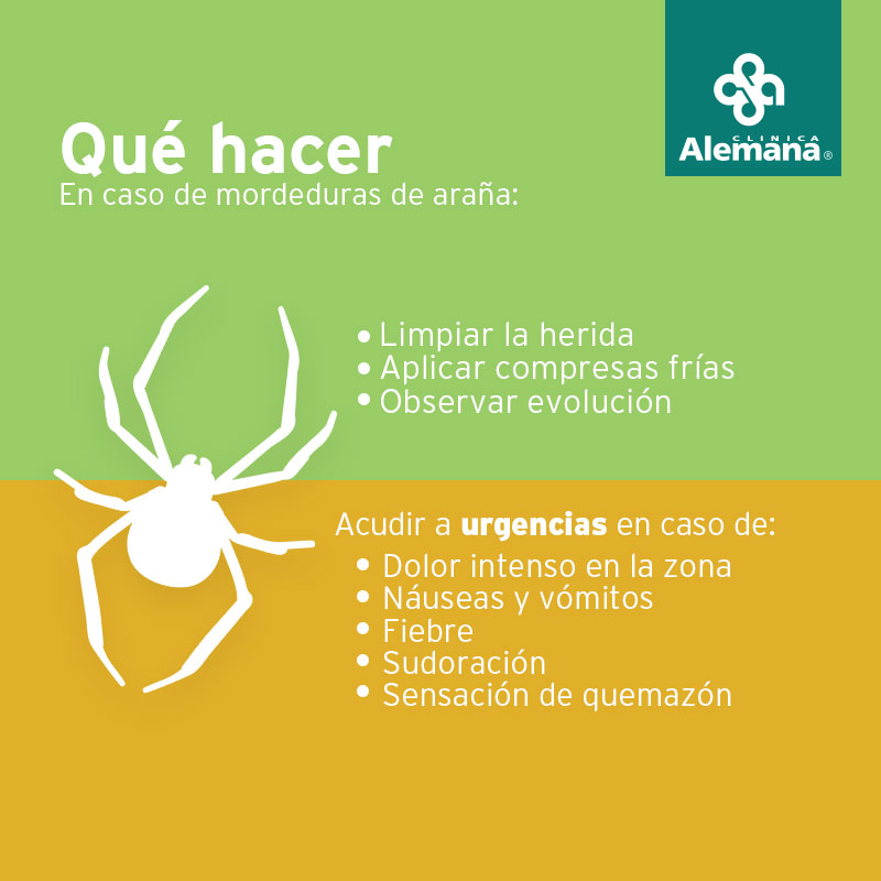 picadura de araña