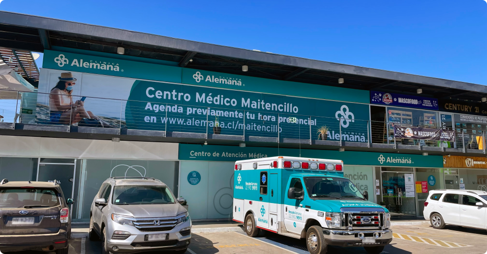 maitencillo_02