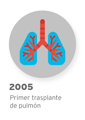 Pulmones