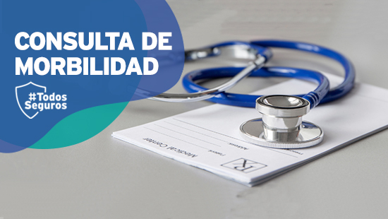 Consulta de morbilidad