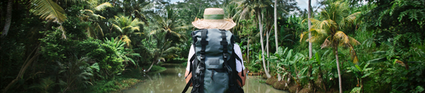 Fiebre amarilla: información y recomendaciones para los viajeros